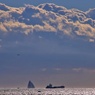 Tokyo Bay Blues②