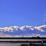 Tokyo Bay Blues③