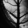 P1035649