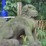 狛犬_花園稲荷神社