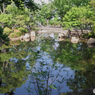 新緑の府中公園の池