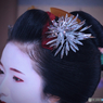 Play Back : Last summer, Maiko Koerisan