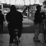 自転車とクロネコの影