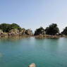 近場の海で貝取り