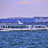 レンズの中ををシーバスも通る♪(海を見ていた午前）