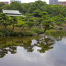 東京散歩　(20) 清澄庭園 Ⅰ