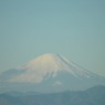 元旦の富士山