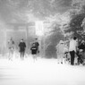 参拝