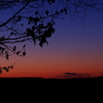 色彩の夕景