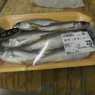 伊東散策