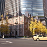 全景