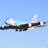 「群青」ANA A380-841 JA381A   Landing
