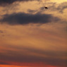 P1035768
