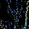 DSC00900