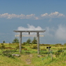 鳥居から下界を見て何思ふ