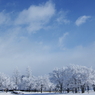 新雪の輝き