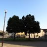 photo_980540