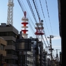 photo_980553