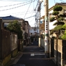 photo_980563
