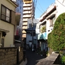 photo_980564