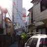 photo_980565