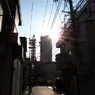photo_980567