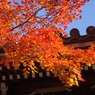 秋の京都（２）