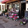 photo_980576