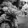 Passing By #10