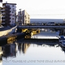 photo_980734