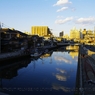 photo_980743