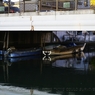 photo_980746