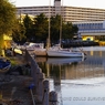 photo_980750