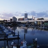 photo_980779