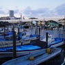photo_980780