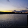 photo_980781