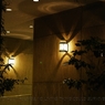 photo_980820