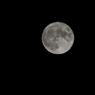 Harvest Moon 収穫月