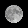 Harvest Moon　満月　収穫月