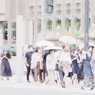 真夏の青信号
