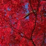 P1000276-S