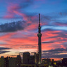 「今朝の空」