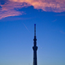「朝焼けの雲とひこうき雲とスカイツリー」