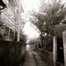 古い日差し (18)