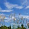 秋の空１