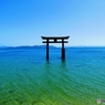 白髭(しらひげ)神社　湖上大鳥居