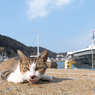 べ
