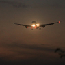  「晴れ」JAL 787 シルエット  Landing