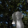 なんとか　夏乗り越える