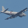 小出川彼岸花